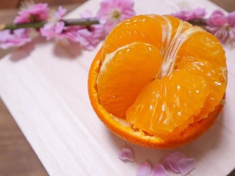 中晩柑詰め合わせセット(ご家庭用) 5kg箱