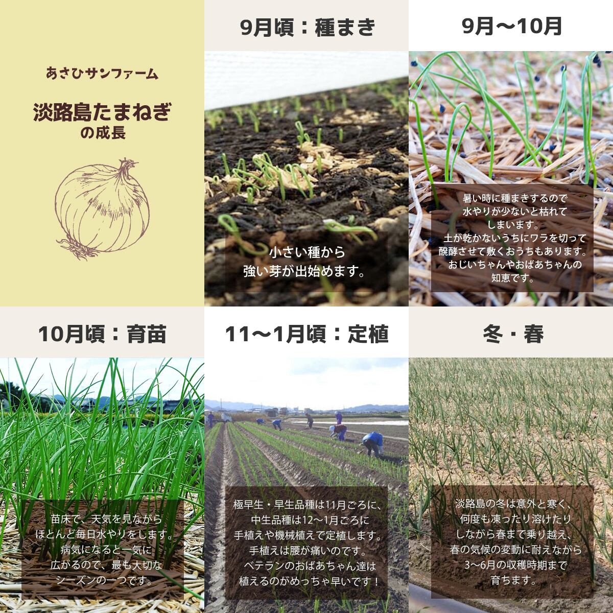【時間限定セール中】【収穫祭開始‼︎】44 あけび 5キロ　10/28収穫