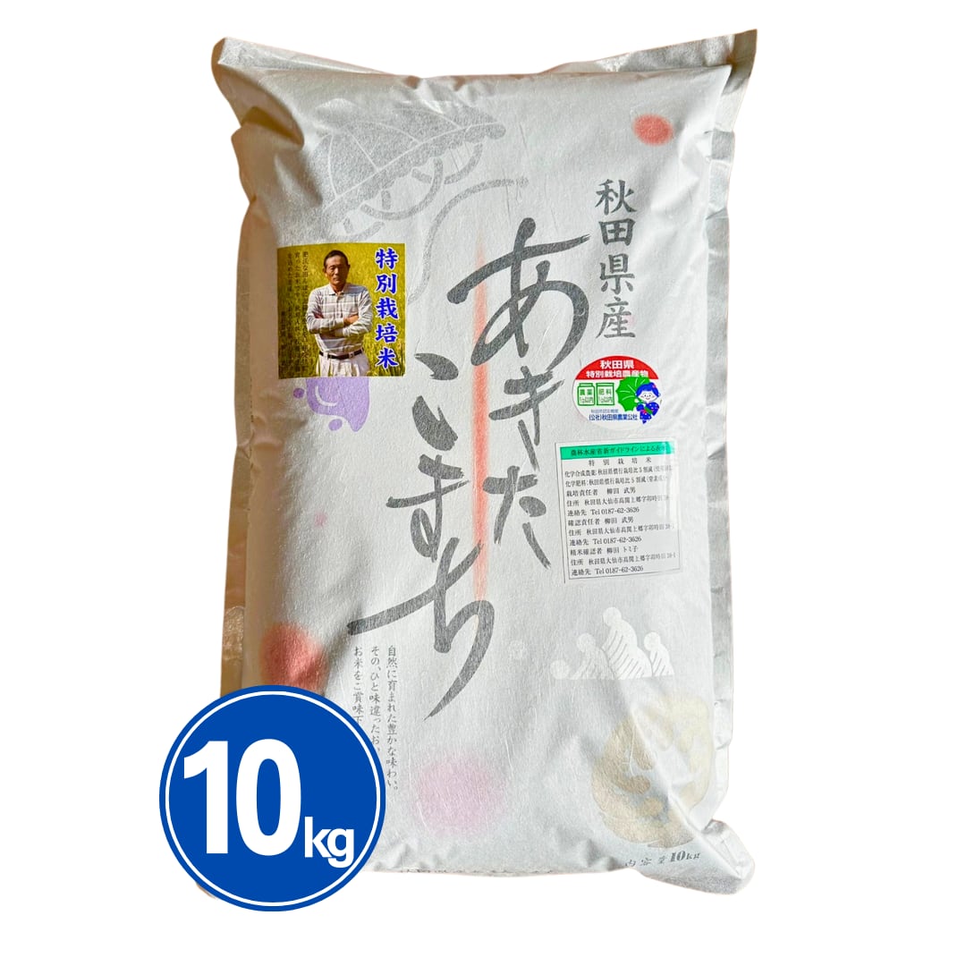 展示品 未使用 STAUB ファミリー ライスココット グレー 20cm 3.0L