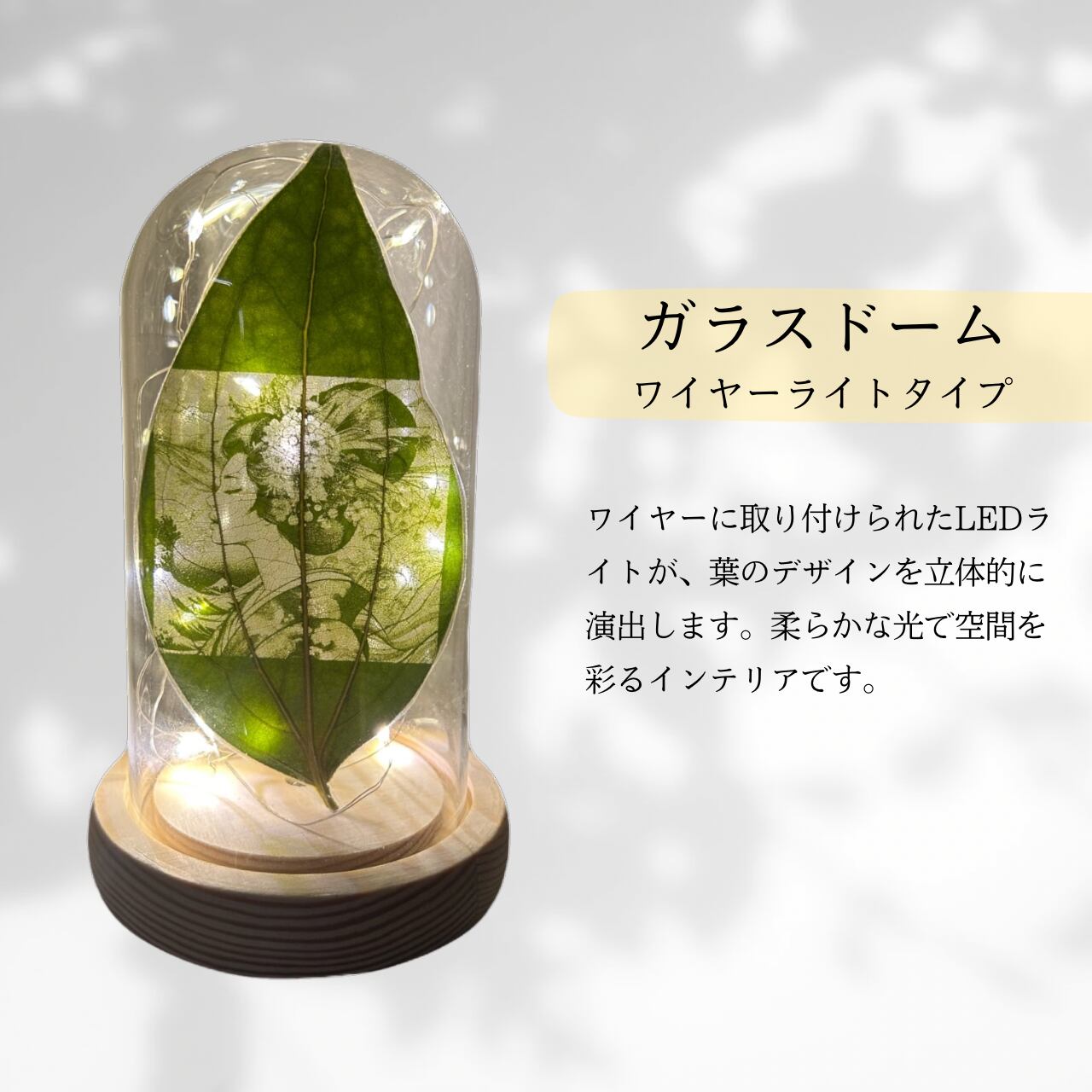 選べるディスプレイケース【3種類】（単品）