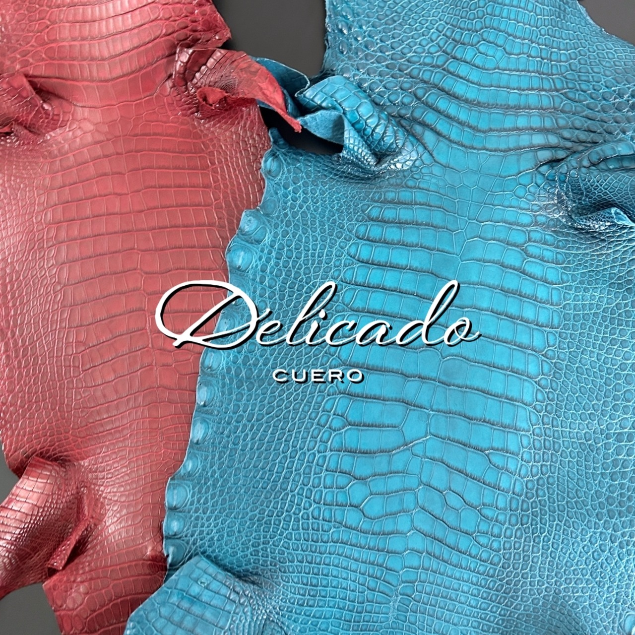 アリゲーター 無双 マネークリップ ディープブルー