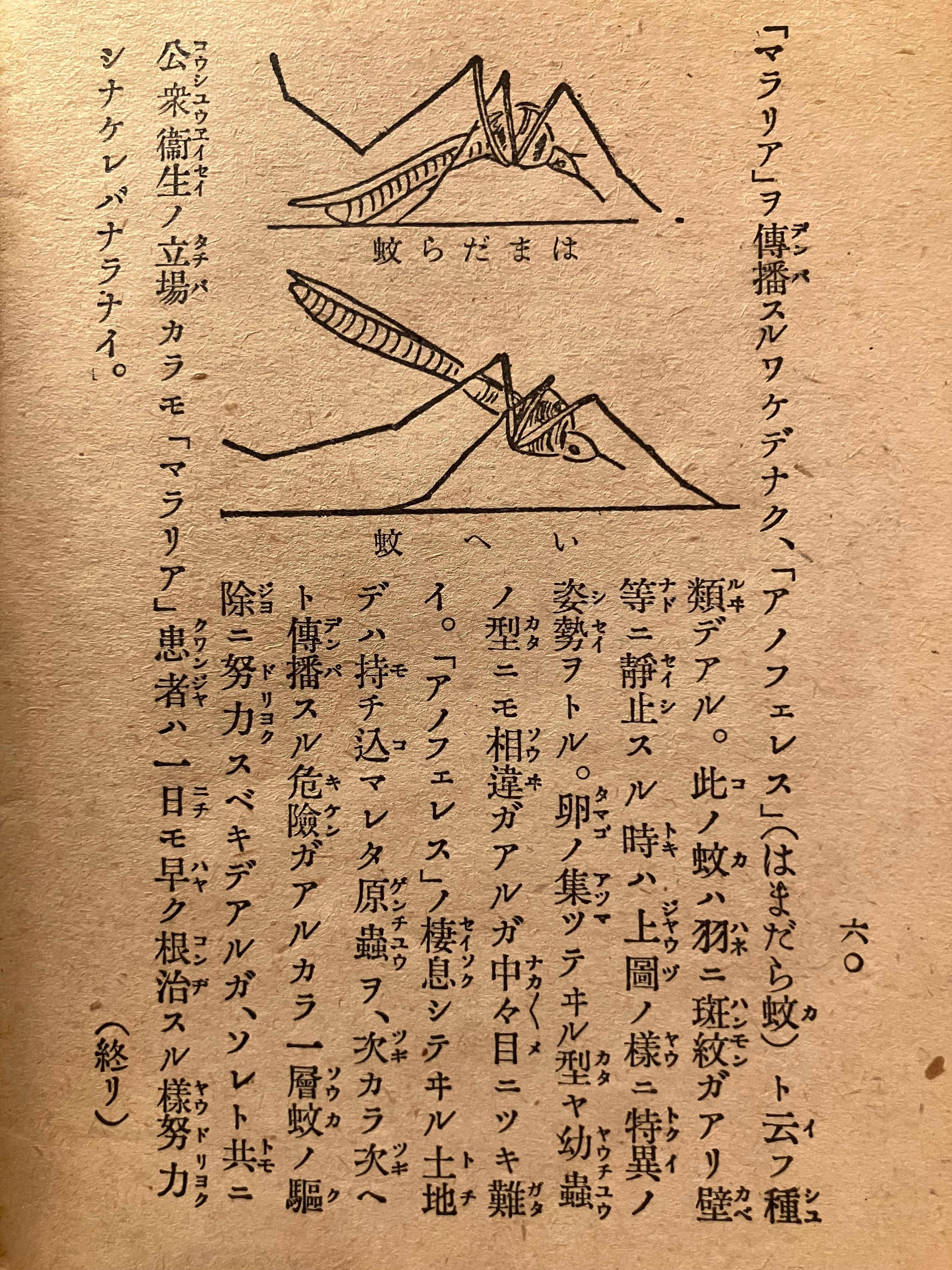 陸軍省非売冊子｢支那事変ニ因ル患者 帰郷後ノ養生法｣ | 実用外百貨店