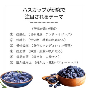 ※7月発送【３瓶セット】フルーツスプレッド・ハスカップ