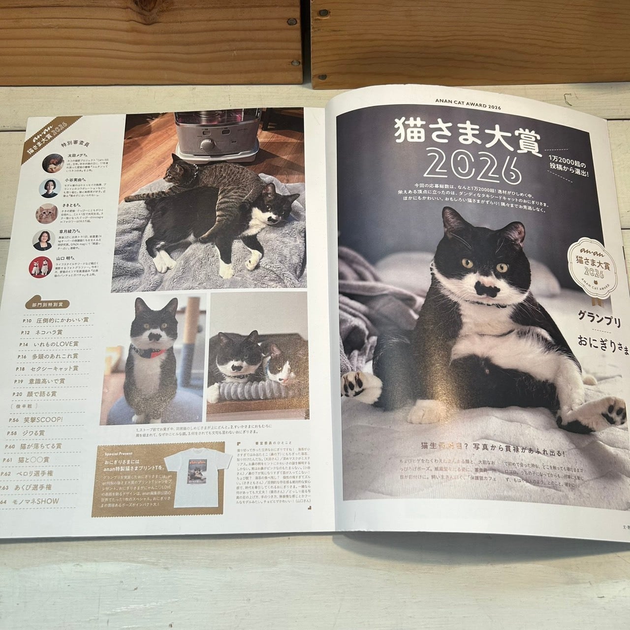 anan 猫さま大賞2026 グランプリ受賞】おにぎりくんクリアファイル【A4