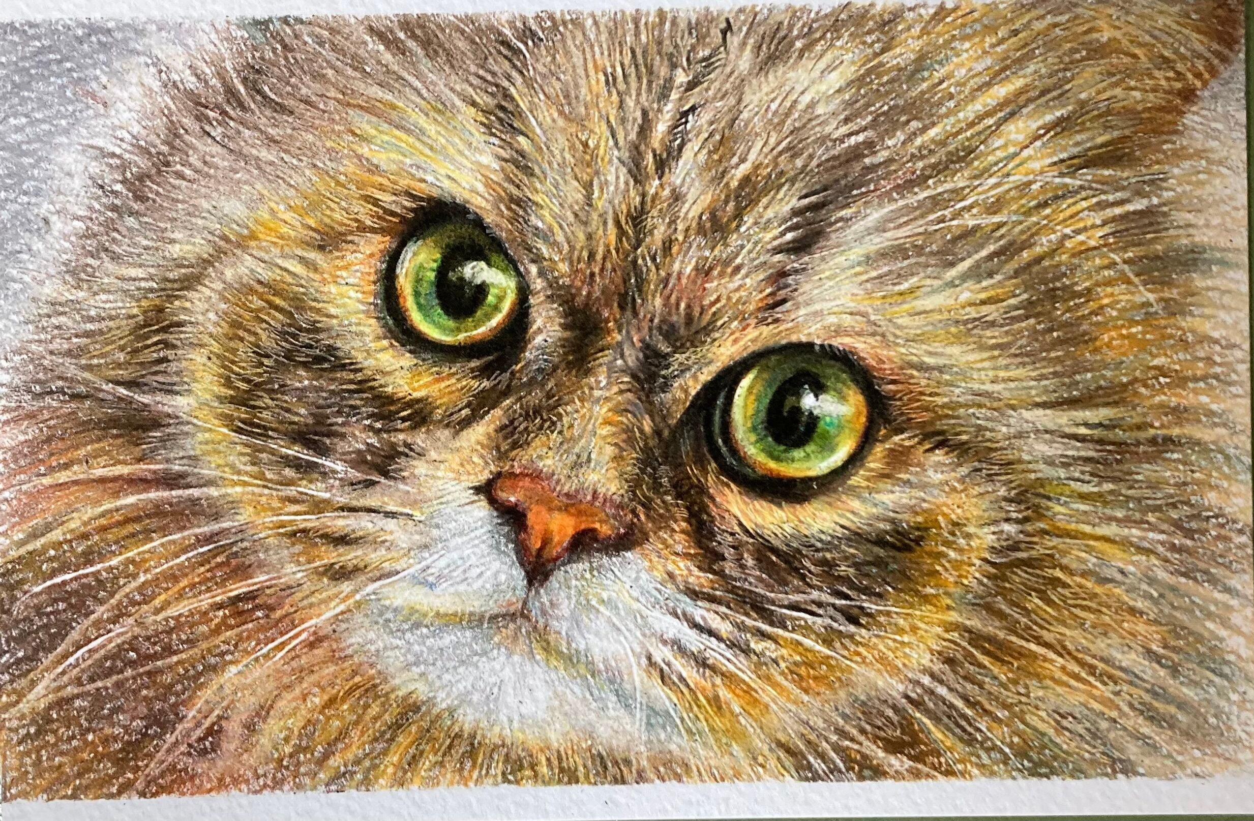 手描きイラスト　色鉛筆画　オーダー商品（A5） 手描きイラスト 色鉛筆画 オーダー商品