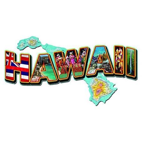 ワンピース ストロベリーグァバ アメリカ製 ハワイ フラダンス hawaii