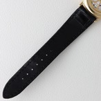 BOVET Le Faucon 世界12本限定 裏スケ オートマ thumbnail 14