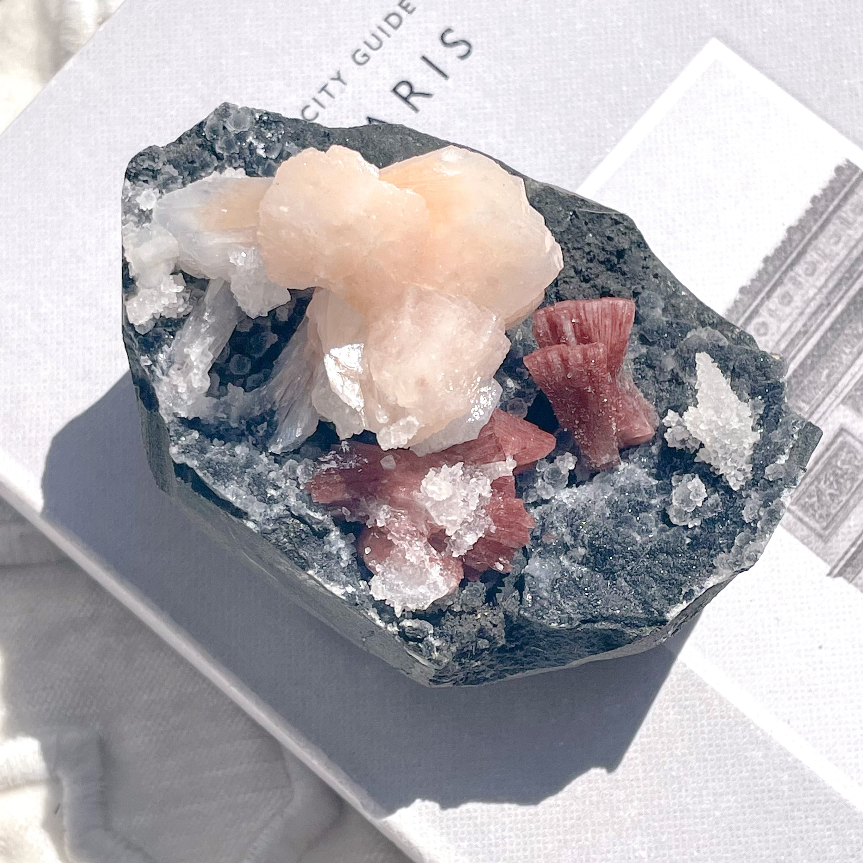 Pink & Red Stillbite ✧ ピンク&レッド スティルバイト