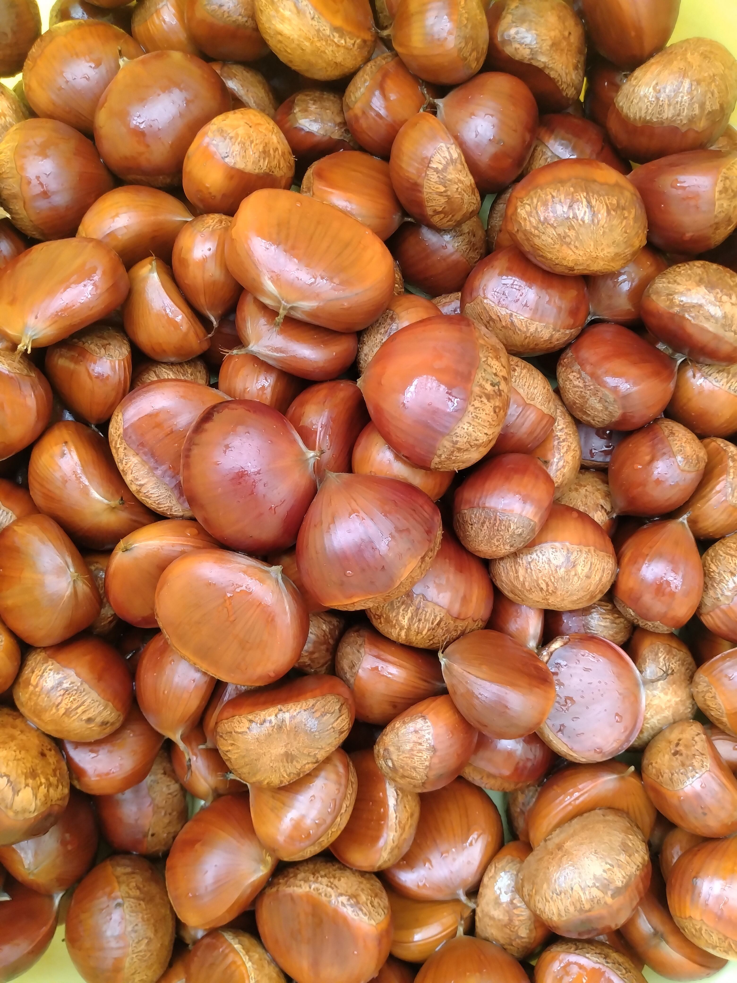 わらびのニンニク漬 | 缶詰専門店 メグロ食品