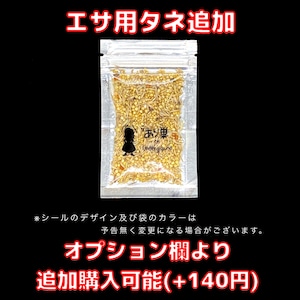 バルバルスクロナガアリ|女王|コロニー|Messor barbarus
