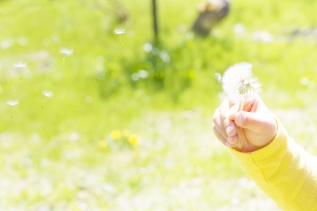 エンジェルリンク遠隔伝授　大天使ガブリエル