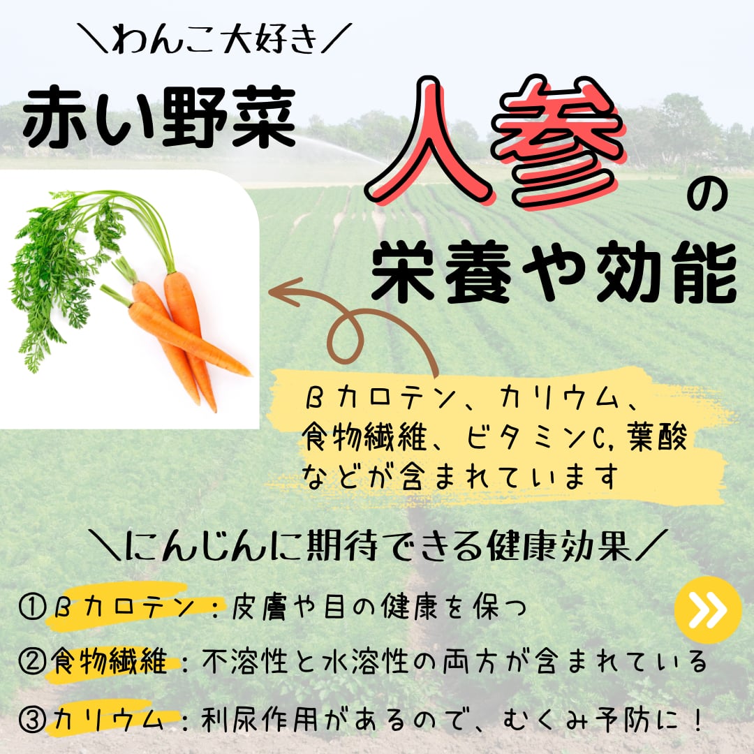 やぎミルク入り豚肉おからバーグ大口お得セット