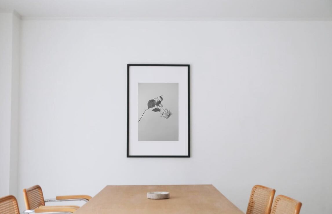 Alexander Goodman(アレキサンダー・グッドマン) #9 black wooden frame 63㎝ × 93㎝付き ( LL )