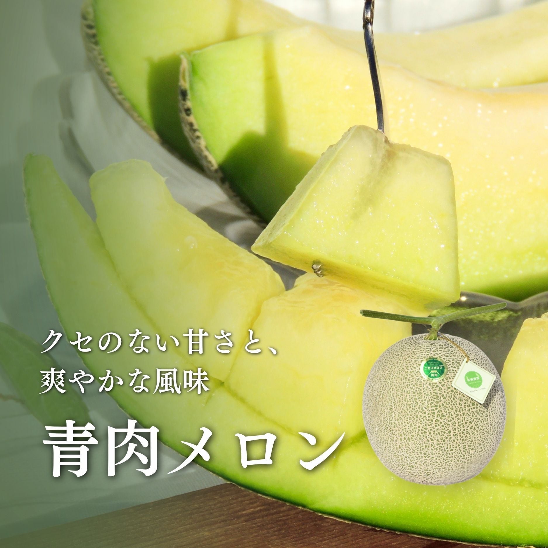 メロン4～5玉＜色指定可＞＜7月下旬～9月通常発送＞ | 北海道ニセコ町