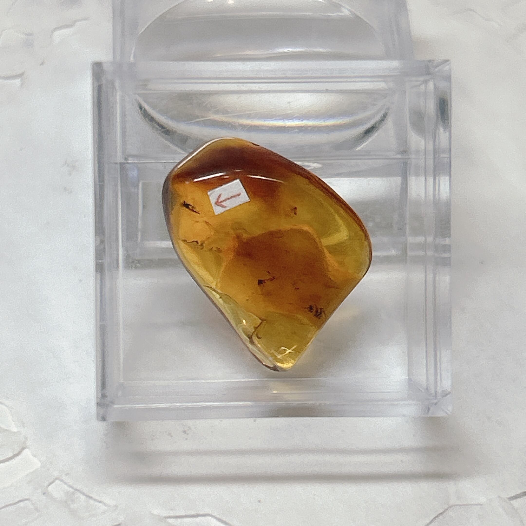 101159】 虫入り琥珀 虫入り 琥珀 こはく コハク 化石 虫入りコハク