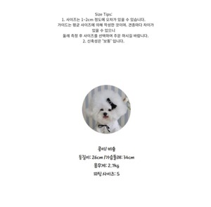 即納【Hi Yeboo】The Fall Dress ダスティピンク