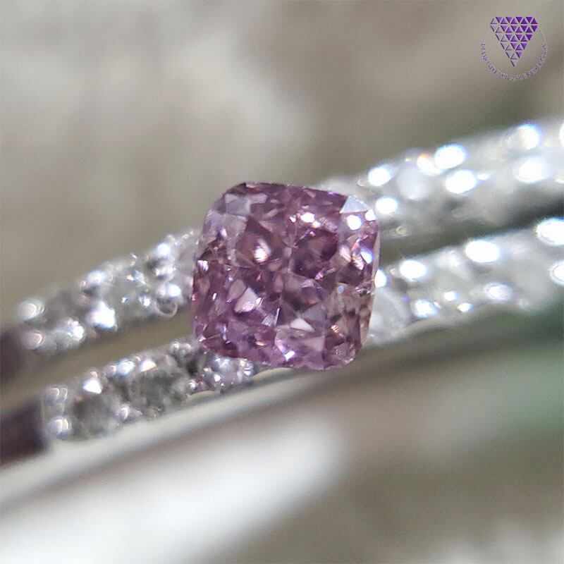 0.114 ct Fancy Deep Purple Pink SI2 CGL 天然 パープル ピンク ...