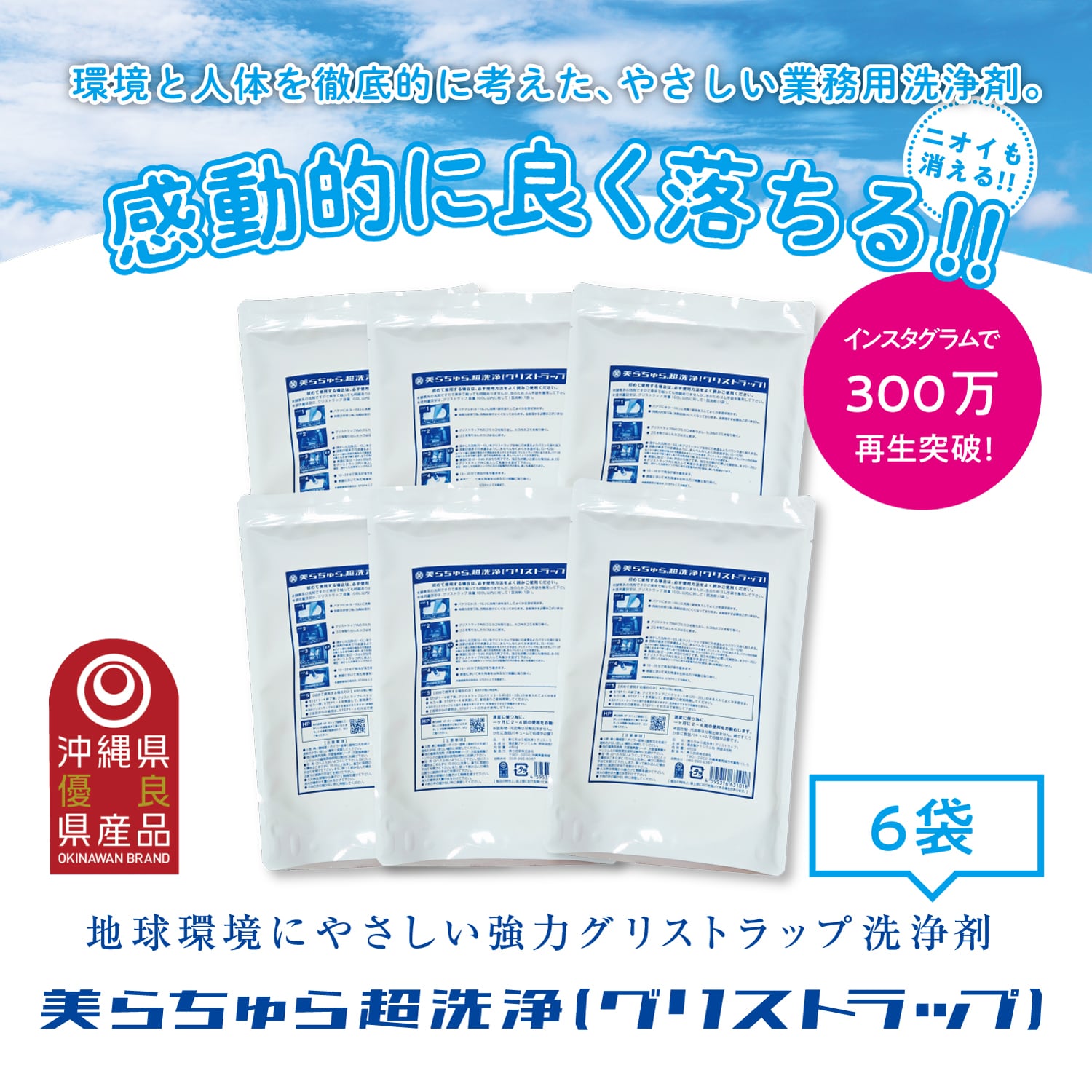 美らちゅら超洗浄（グリストラップ）6袋 美ら技研　無臭力が凄い 美らちゅら超洗浄(グリストラップ) 6袋 | 美らちゅら超洗浄(グリ