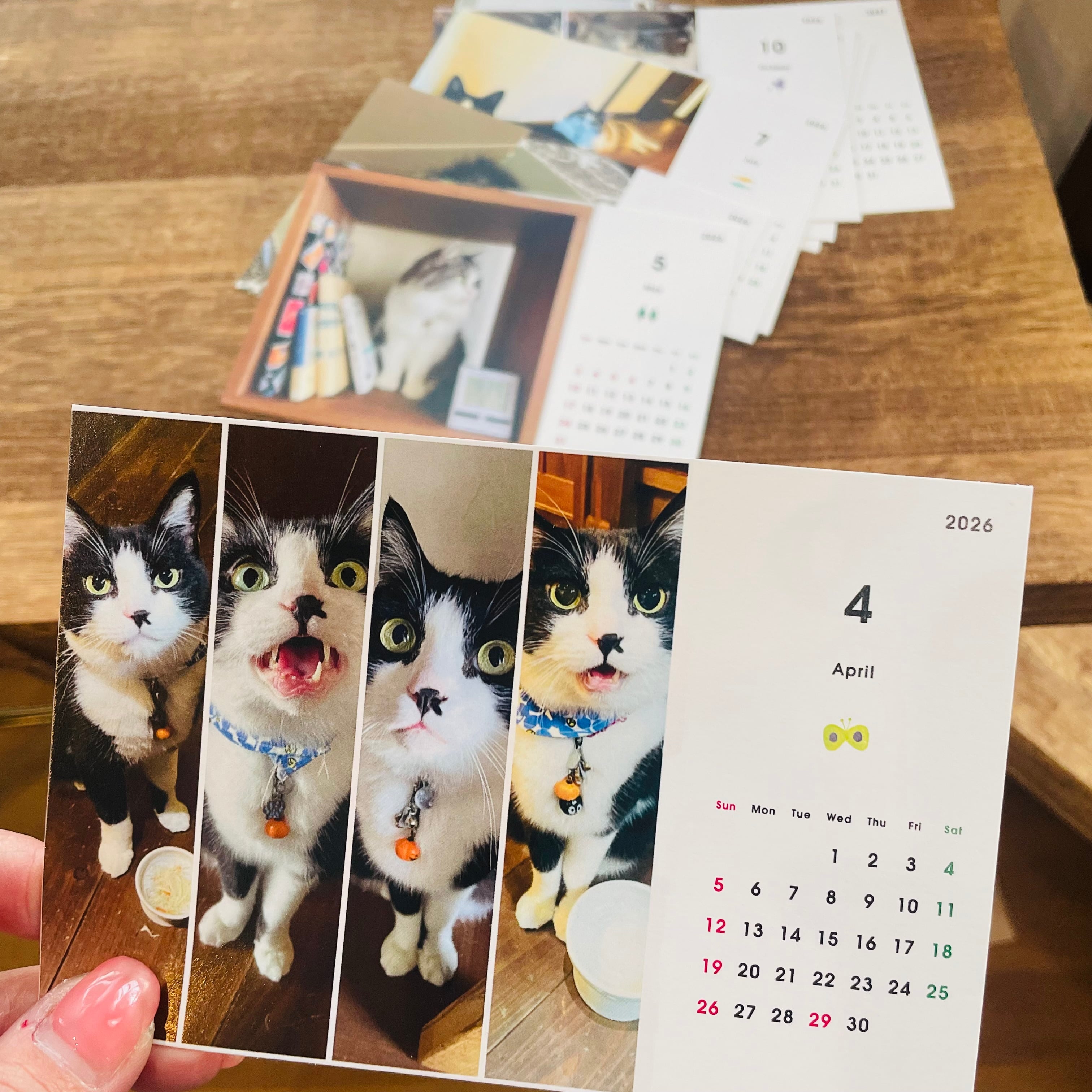 D様専用 コトイロオリジナルカレンダー 4月はじまり