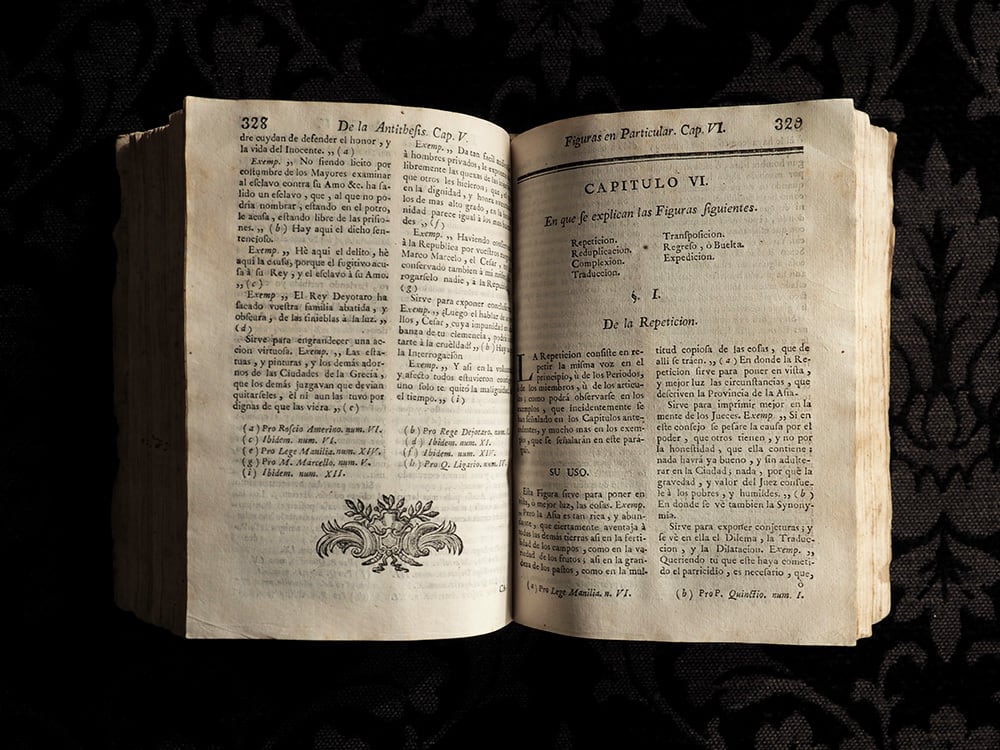 羊皮紙の古書 ⅩⅣ | antique Salon