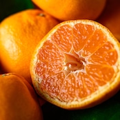 【季節限定】旬の有田みかんと無添加みかんジュース ギフトセット