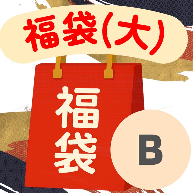 【1月31日まで！】GATE ONLINE 福袋 （大）B