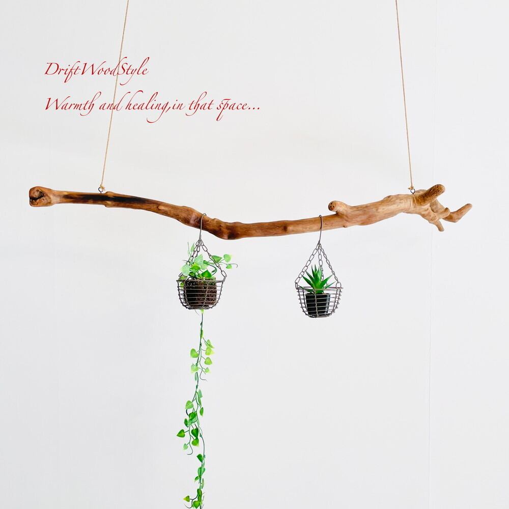 流木インテリア専門 DriftWoodStyle