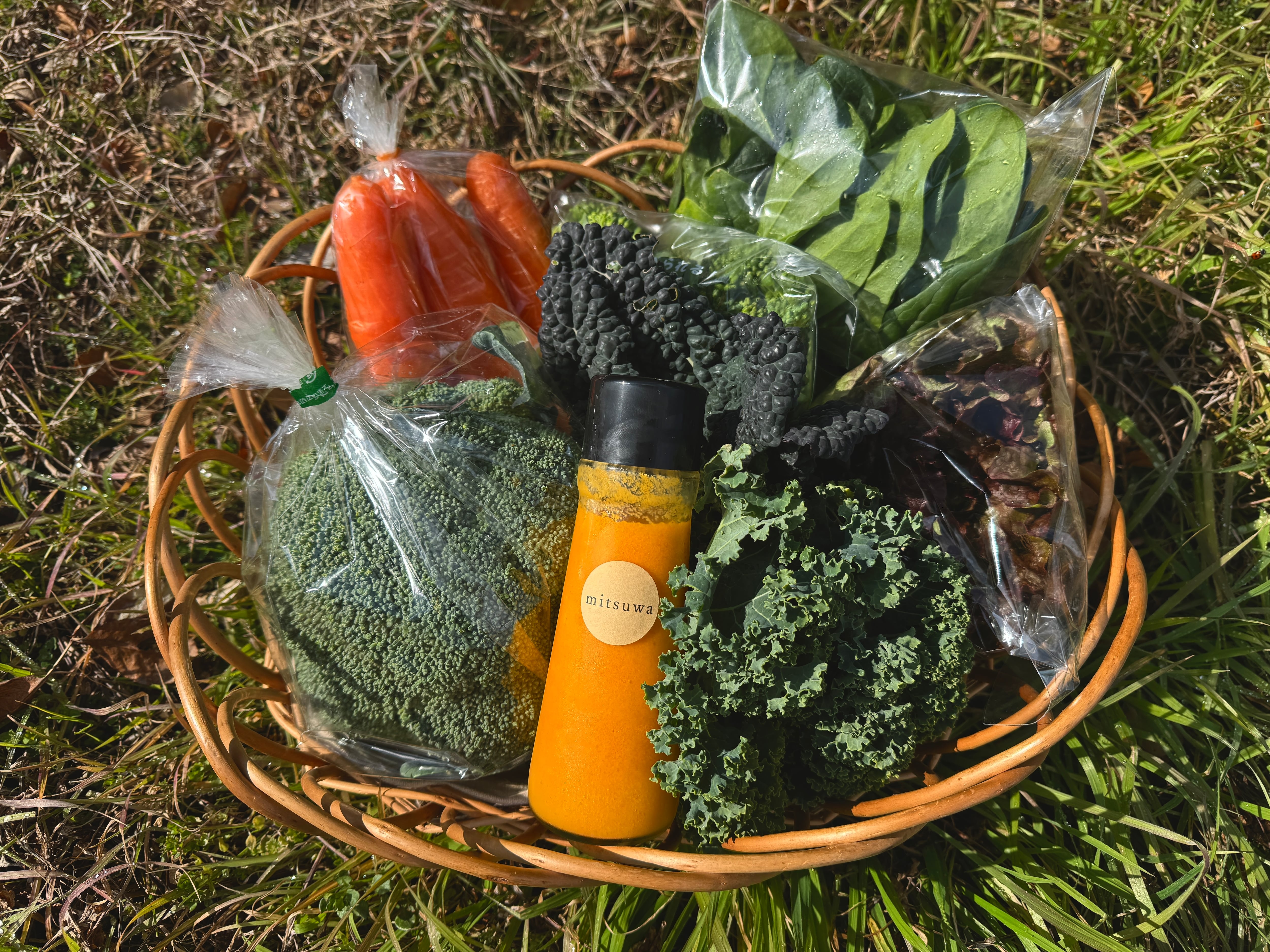 【2月28日イベント引き取り分】カレー4個とおまかせ野菜のセット、ドレッシング付き