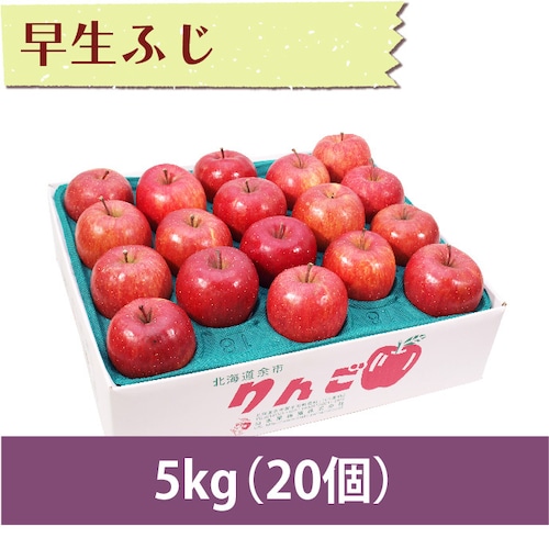 【りんご】早生ふじ 5kg（20個）