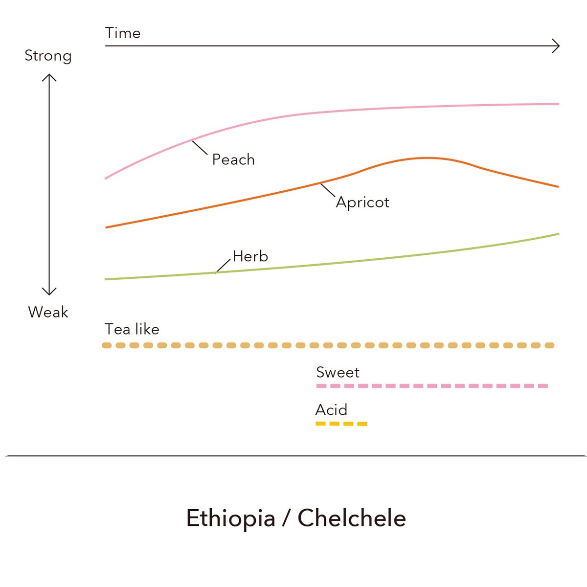 【新発売】Ethiopia - Bona Sedeka/ 200g