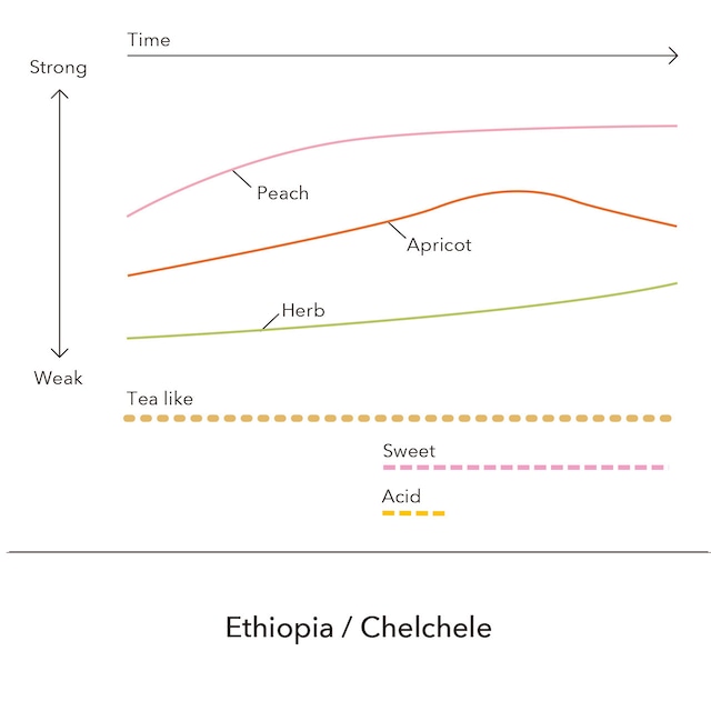【新発売】Ethiopia - Bona Sedeka/ 200g