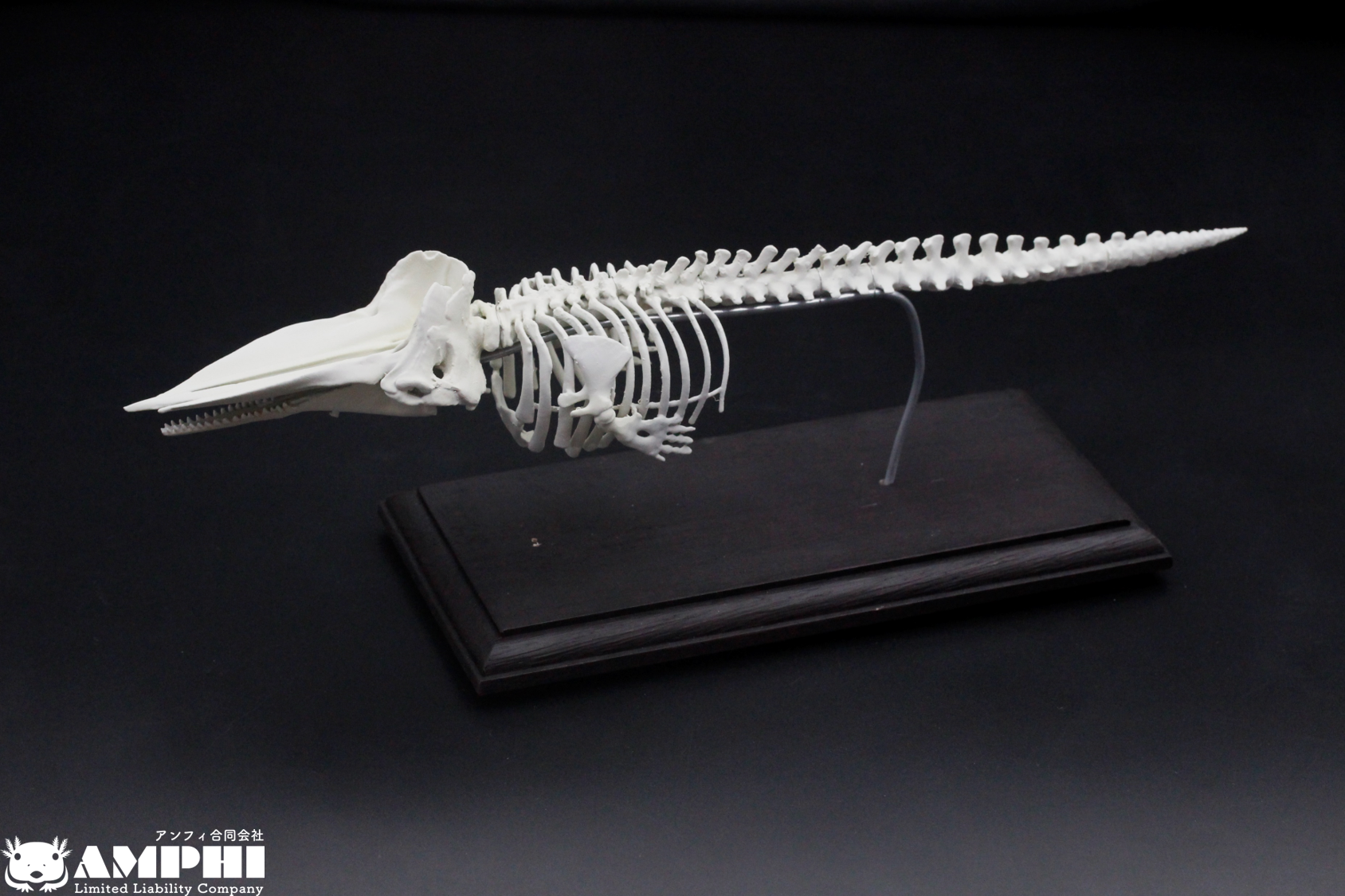 f0e65abc9b3d9babd9cf71f2c959c7