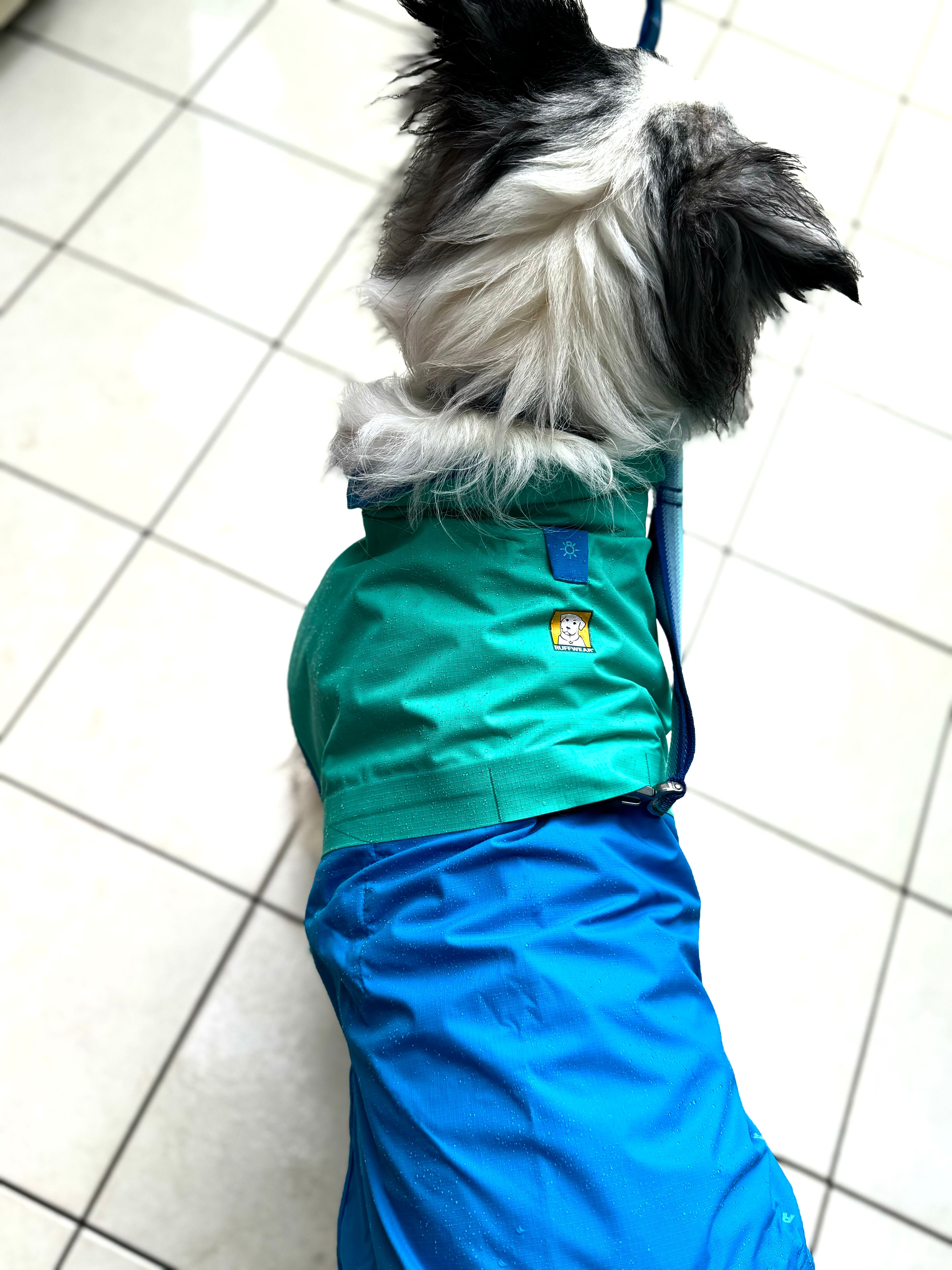 f0e888e6df48ce8234dddeea6331c7