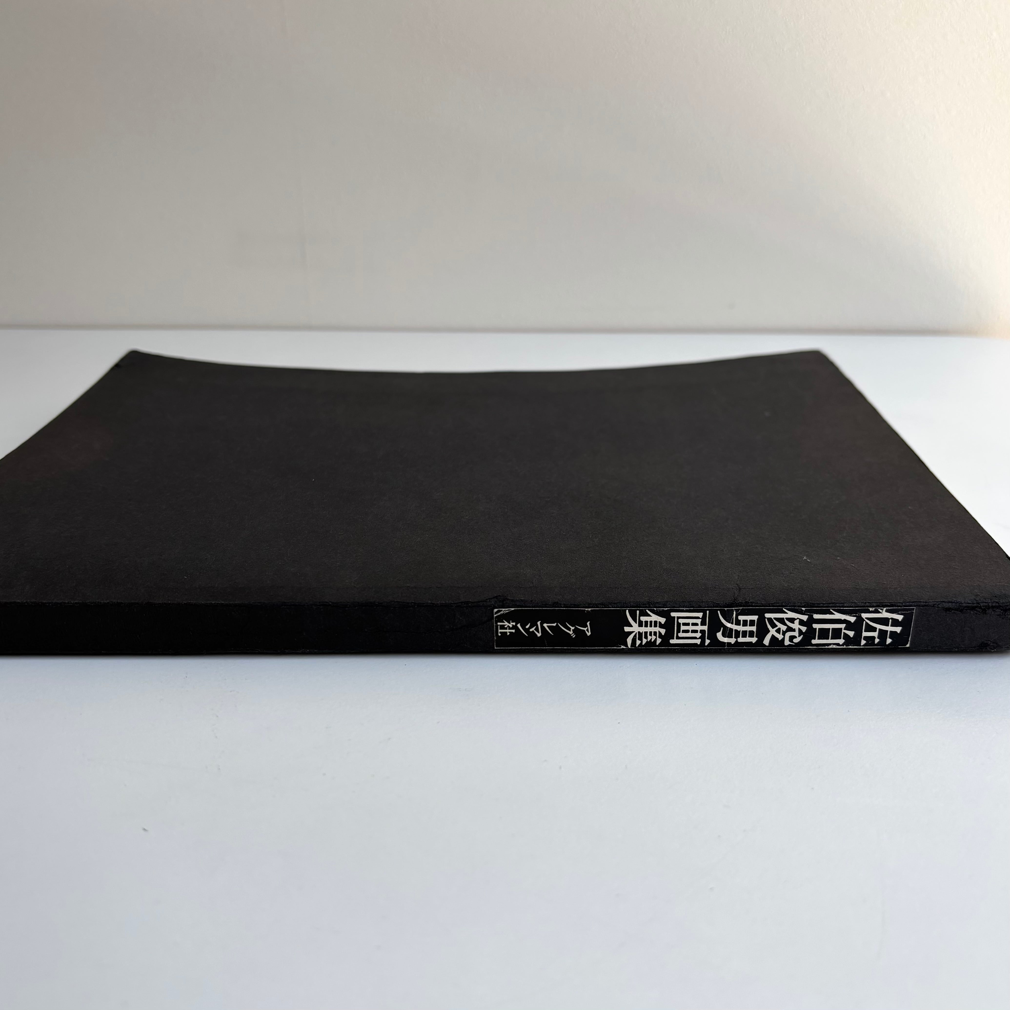 佐伯俊男画集 佐伯俊男 アグレマン社 帯・二つ折りリーフレット付