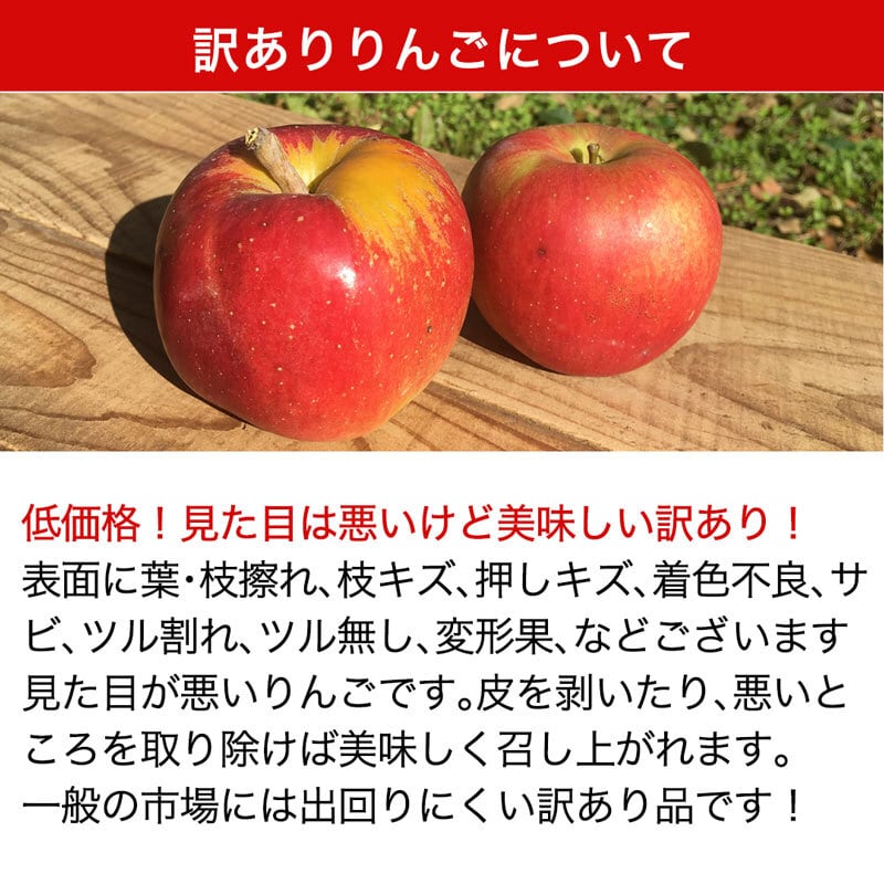 長野県産 摘果りんご 約5キロ 加工用 通販