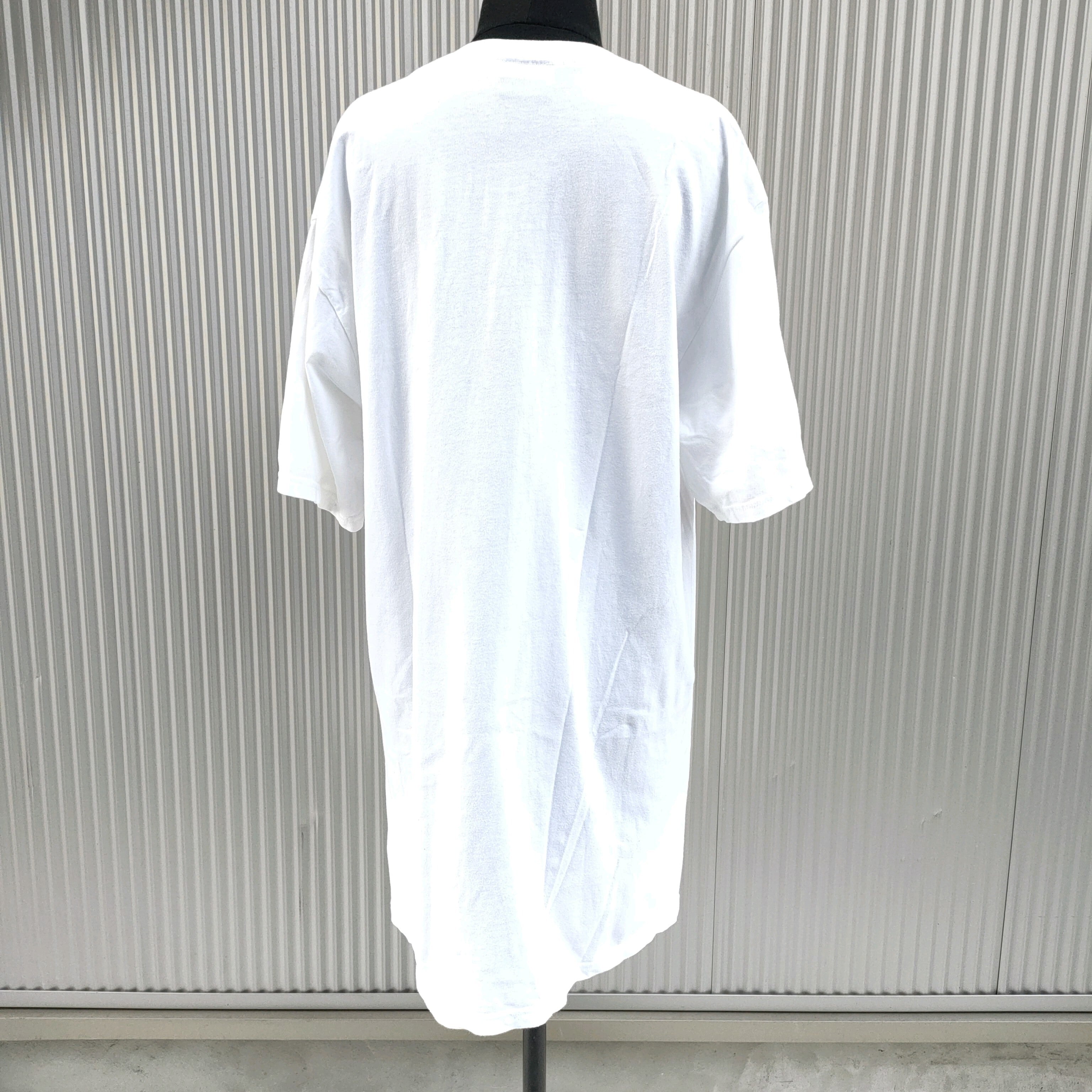 ○【国内正規品/2015SS】ソフSOPH/ステューシーstussy × ソフネット