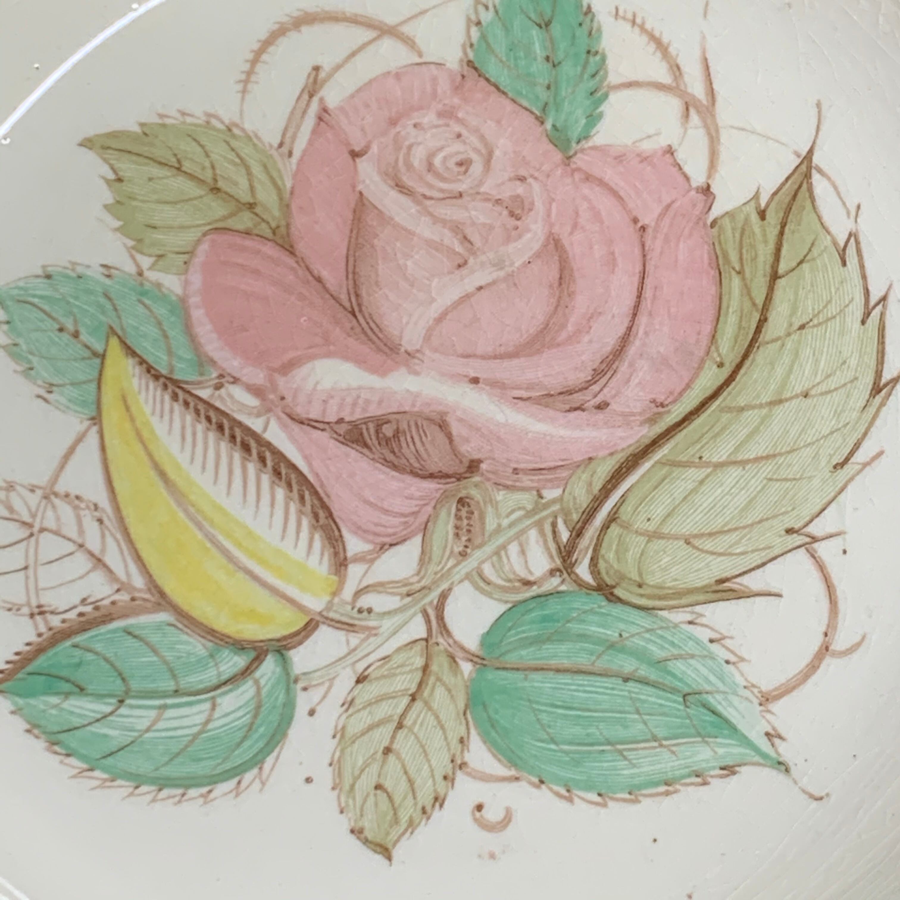 スージークーパー Susie Cooper パトリシアローズ⌀23㎝プレート6枚