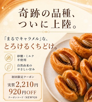 送料込み｜まるで生キャラメルのような満足感 ｜自然な甘さで満たされる『ふっくらとろり7DATES』〔USDA・EUオーガニック認証取得〕大粒希少品種