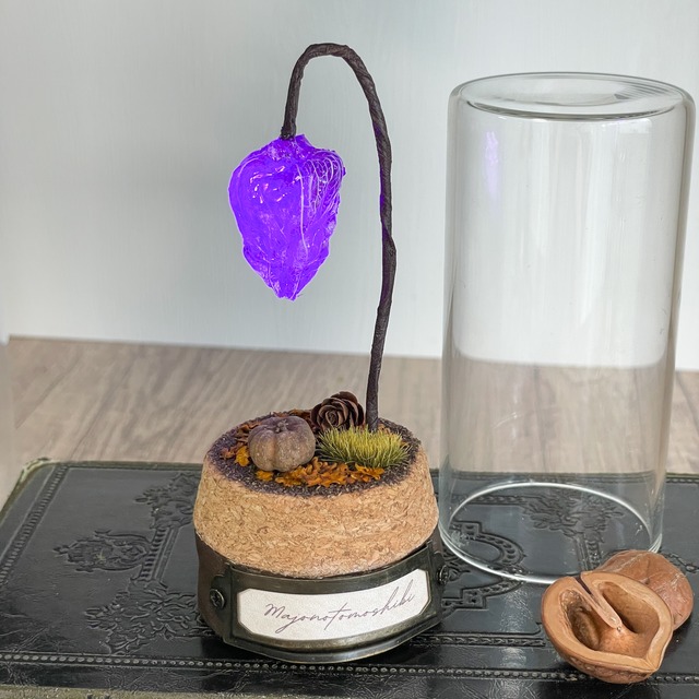 マジョノトモシビ　ミニ　