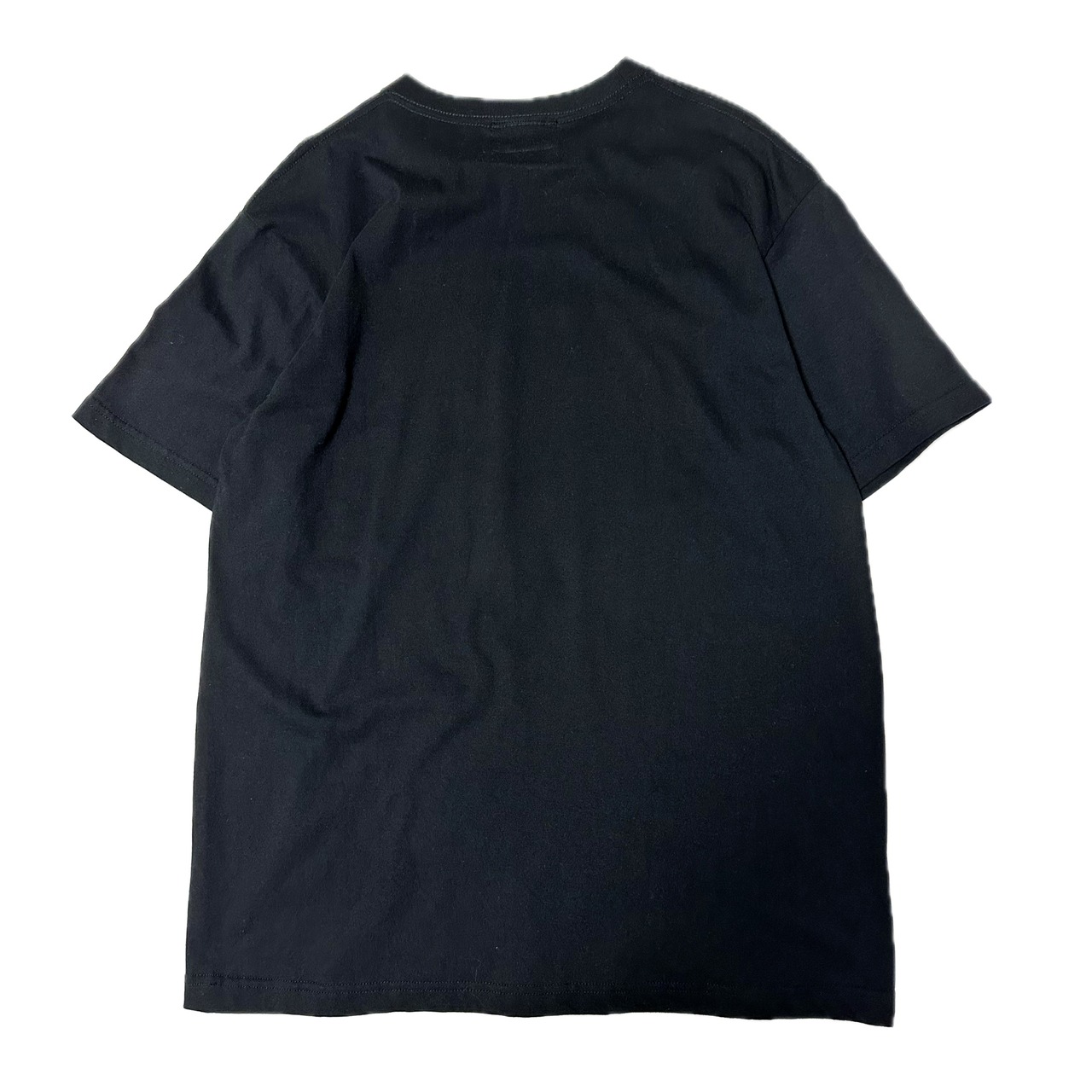 UNFINISHED EinsteinTshirt24080