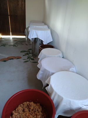 柿酢の送料無料6本セット