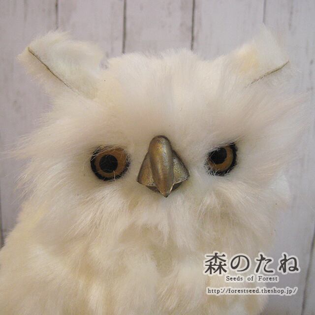 デコアニマル 白ミミズク 大 森のたね
