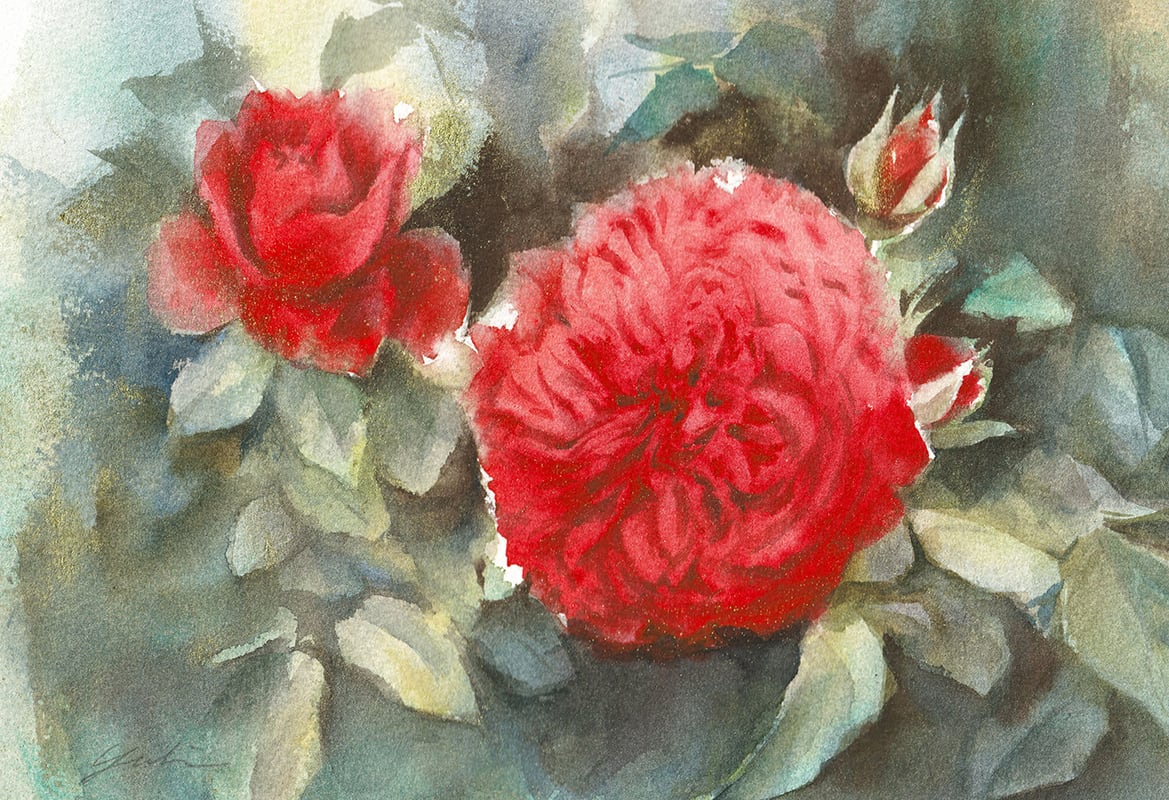 水彩の薔薇図鑑 ONLINE STORE