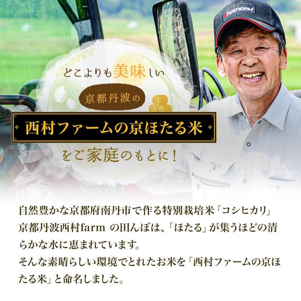 ※業販価格※丹波産コシヒカリ 25kg 令和7年産 京都のおいしいお米コンテスト受賞米「西村ファームの京ほたる米」