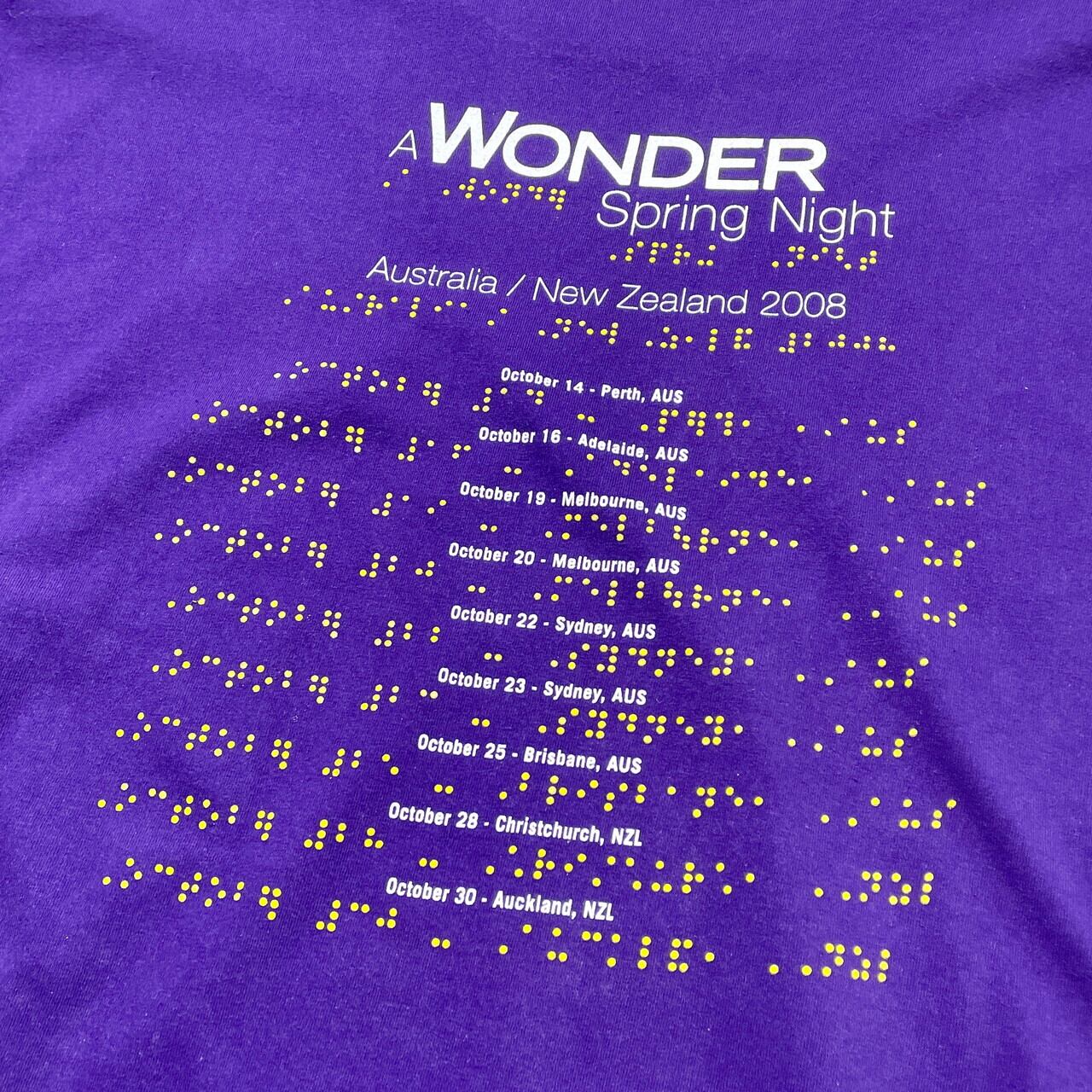 00年代 STEVIE WONDER A WONDER Spring Night 2008 プリントTシャツ