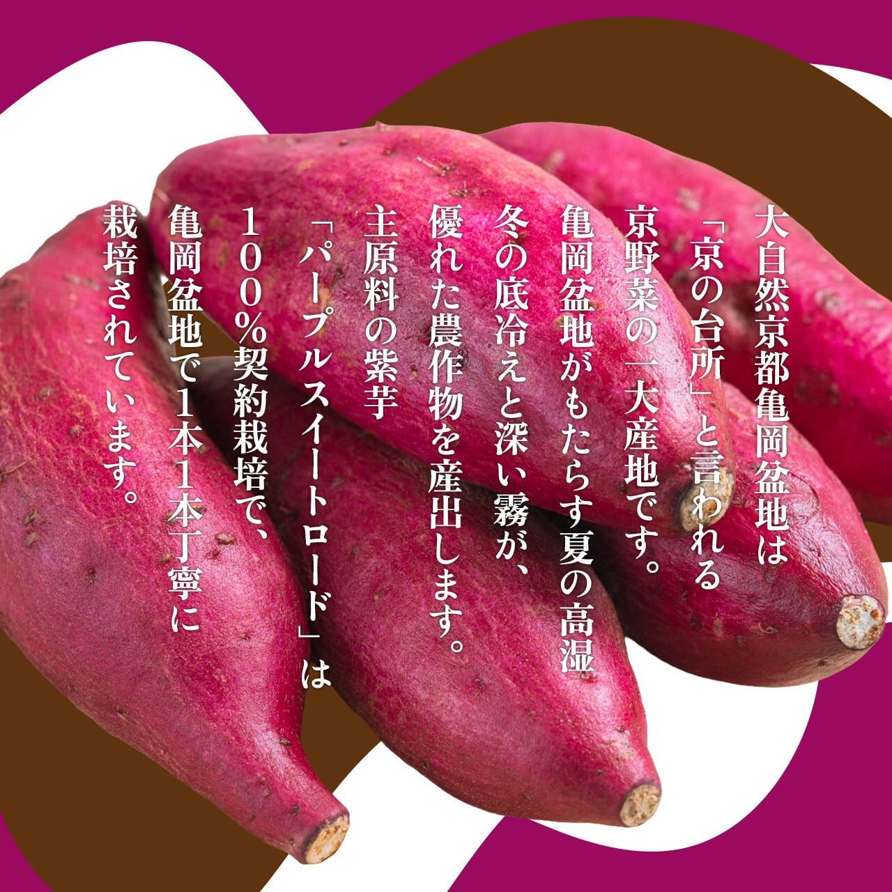 古都の煌 720ml 紫芋焼酎 | 道の駅 京丹波 味夢の里 公式オンライン