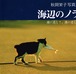 海辺のノラ（写真集）