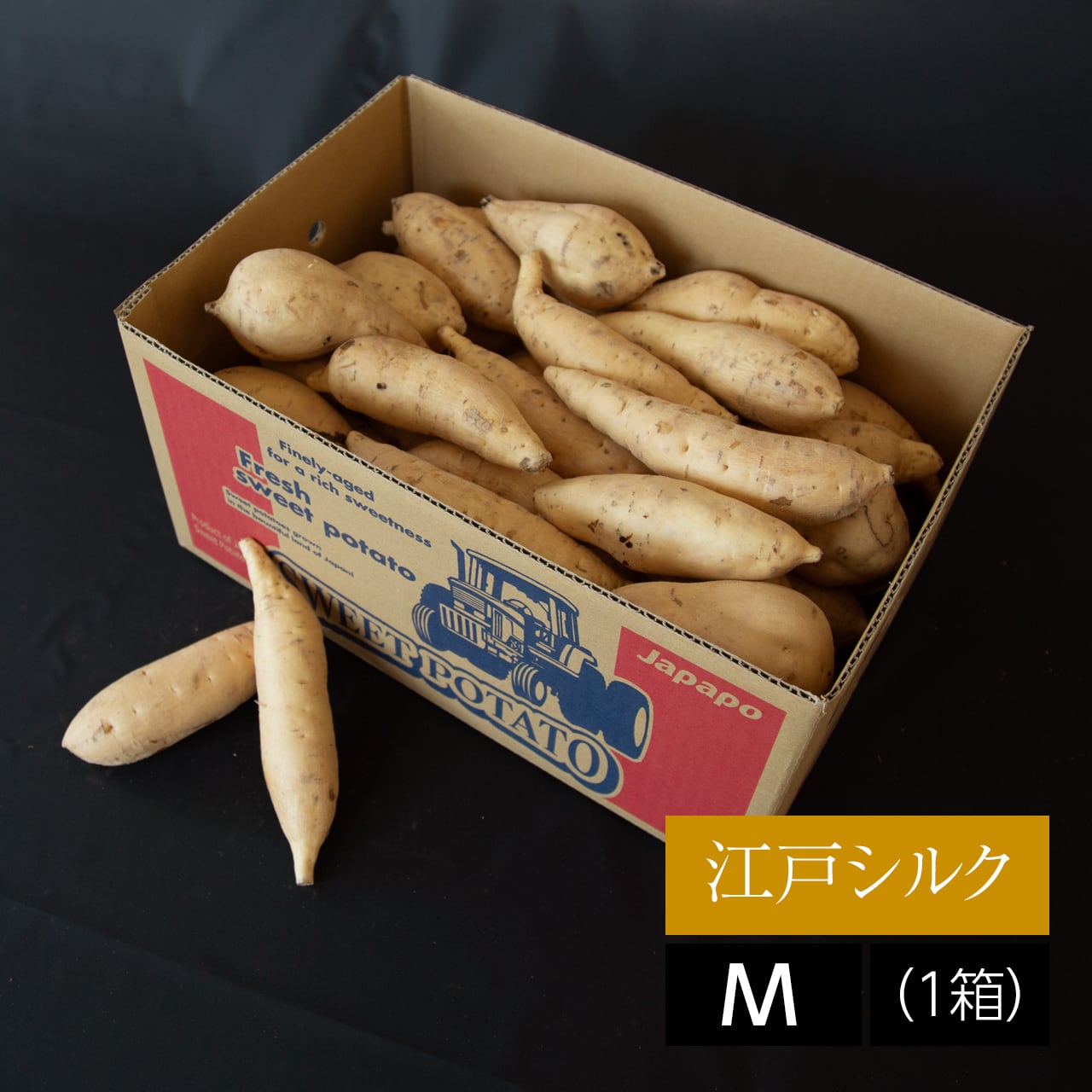 さつまいも 江戸シルク （きみまろこ）【M】54本（1箱） | Japapo