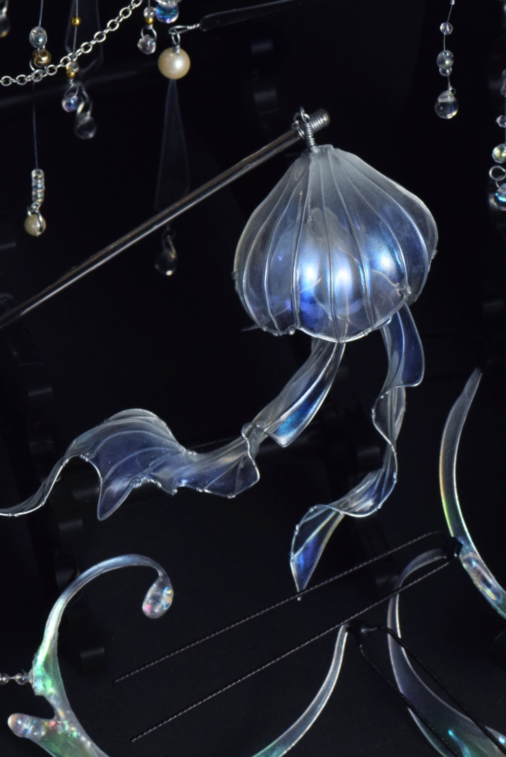 乙姫海月 | 仙女之箱
