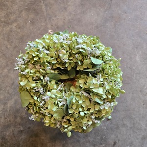 紫陽花アナベルのリース M size